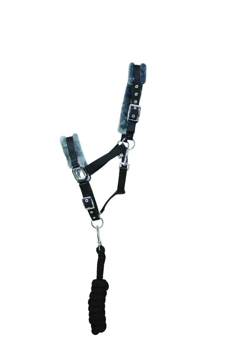 Hy Sport Active Head Collar and Lead Rope - Black